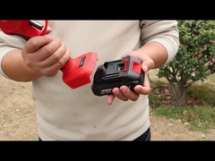 Оустон AES20-4 Презерватор